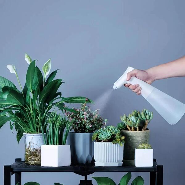 Regadera y atomizador sobre una mesa clara